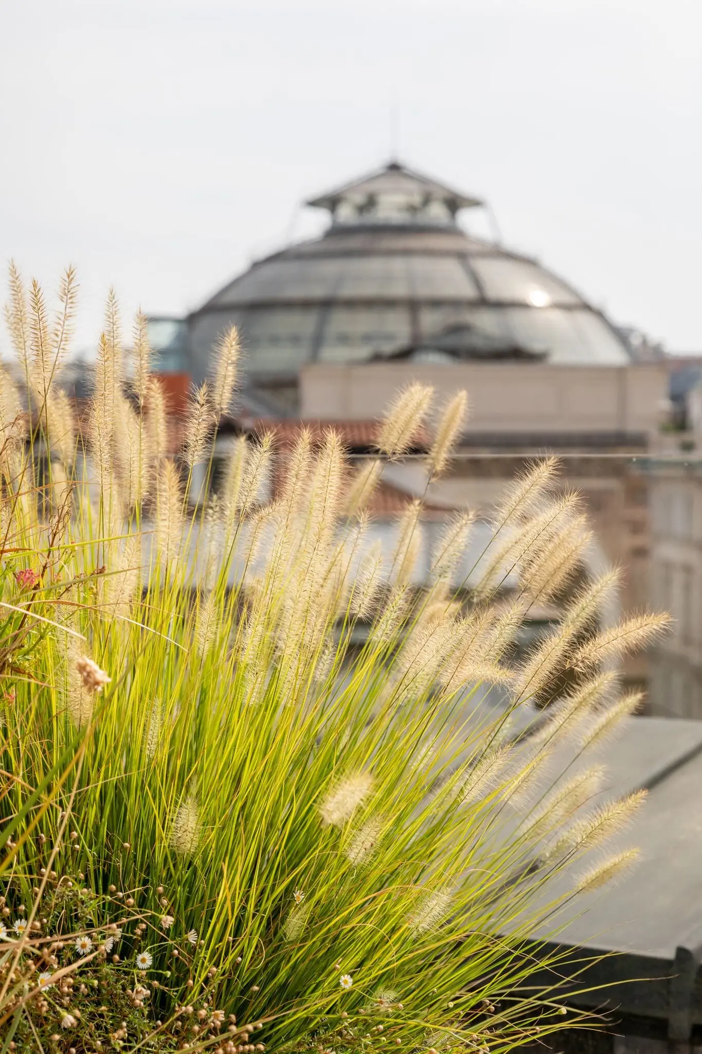 La terrazza di Horto con vista su Milano