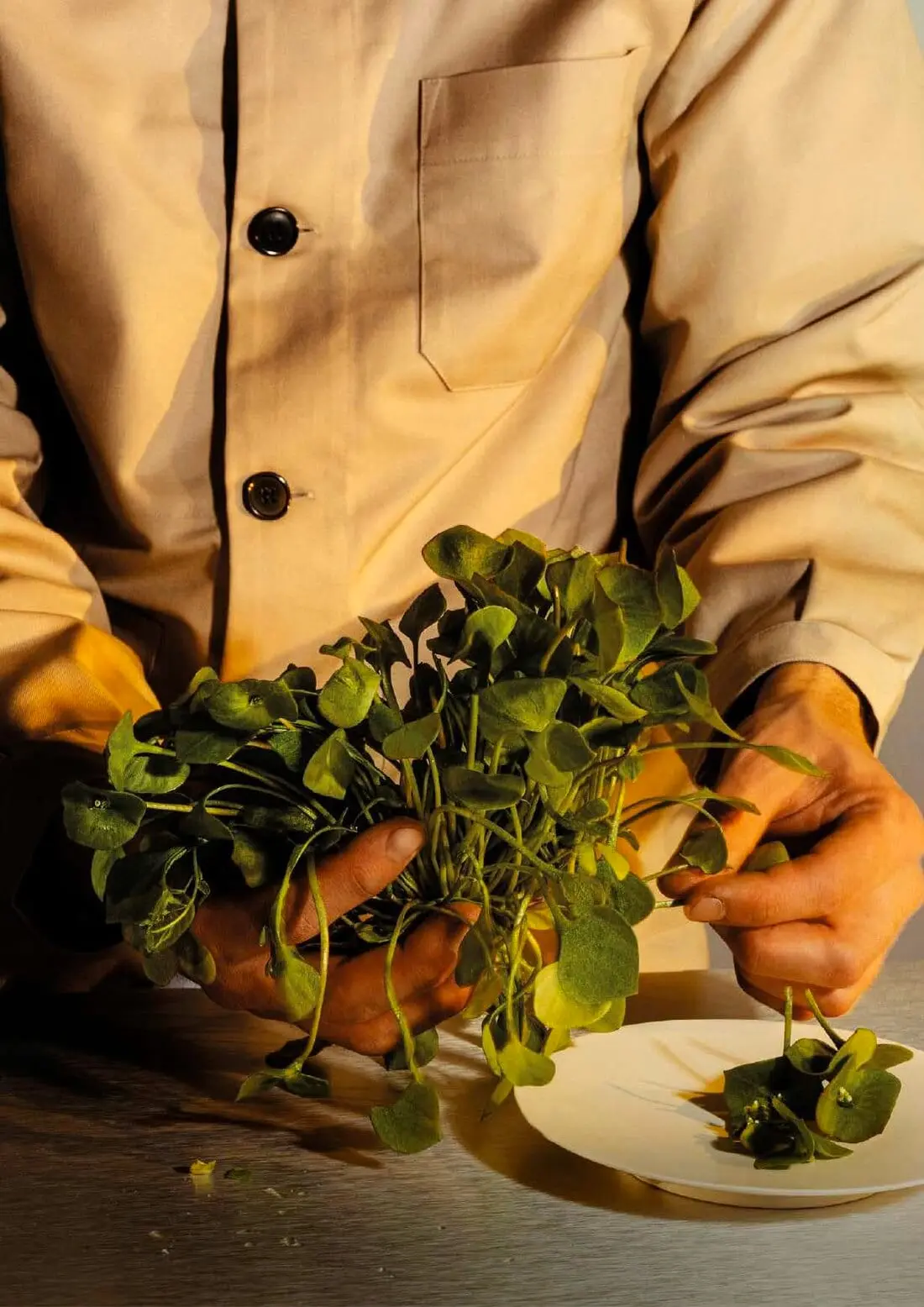 Materia prima e erbe dei produttori di Horto